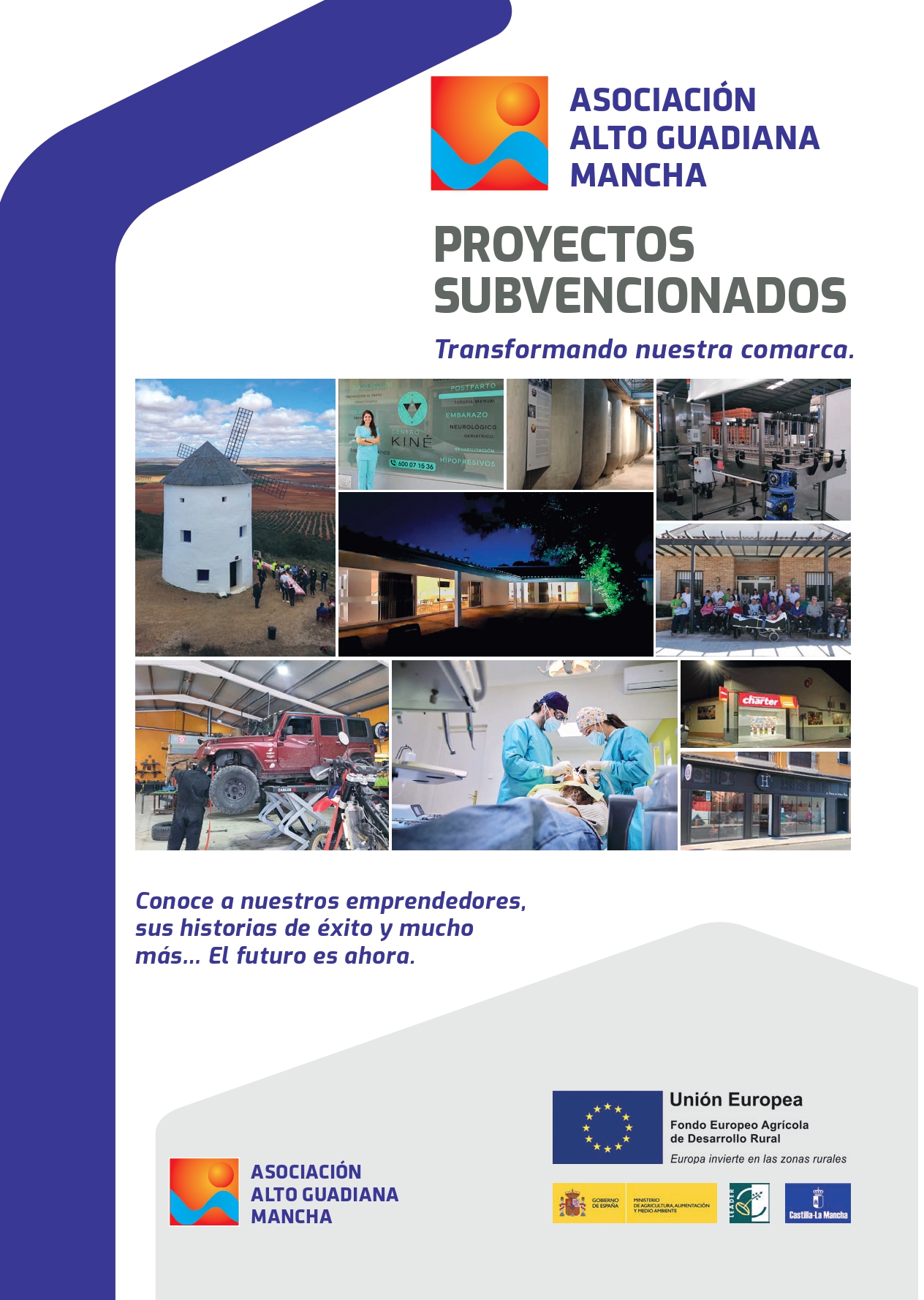 Revista de Proyectos subvencionados